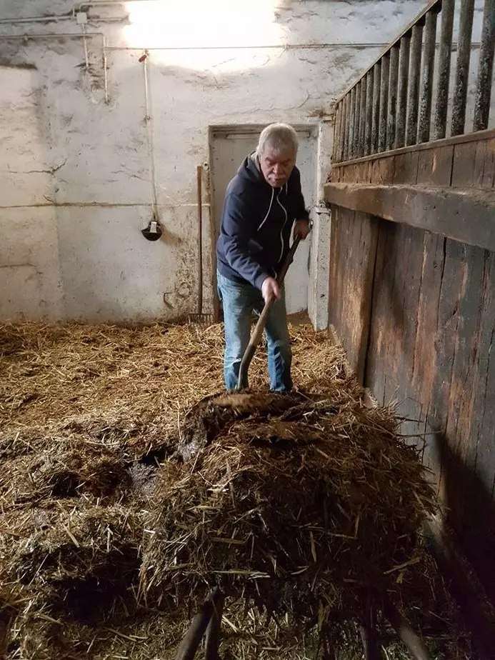 Volker beim misten